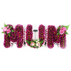The photograph presents a lovingly arranged floral tribute spelling out "MUM" in bold, three-dimensional letters, positioned on a clear white background that makes the colours appear especially vivid. Each letter is densely packed with petite chrysanthemum blooms in shades of vibrant magenta and rich purple, the petals overlapping to form a thick, cushion-like surface. At the centre of each flower, a small lime-green eye brings a spark of lightness, echoing the fresh greens of local parks around Brent Cross. The edges of every letter are neatly trimmed with a ruffled border of pale pink ribbon, framing the flowers with a soft pastel halo. On the upper left of the first "M", a florist's spray of deep pink roses has been carefully pinned into place, accompanied by glossy dark green leaves and fine fern fronds that arch gently away from the blooms. At the bottom of the "U", a more rounded arrangement of blush pink and creamy roses is woven together with small white blossoms and variegated greenery, following the curve of the letter like a quiet embrace. The second "M" balances the design with a matching cluster of pink roses and fern on its upper right side, so the overall composition feels complete and harmonious. This "MUM" tribute, the kind often requested for funerals and memorial services across Brent Cross, Cricklewood, and the surrounding area, conveys deep affection and gratitude for a mother's love, its rich colours and thoughtful detailing providing comfort and a gentle focus for reflection during the service.