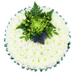 This top-down image shows a round memorial cushion of flowers, placed on a pure white background so that every nuance of the design stands out clearly. The entire circle is covered in small white chrysanthemums, tightly packed with no visible gaps, forming a smooth, padded surface that appears soft and comforting. Each bloom is composed of many narrow petals, layered delicately around a small, greenish centre, giving the tribute a sense of quiet purity with a hint of life at its heart. Tracing the outer edge is a deep emerald satin ribbon, carefully pleated into repeating scallops. The ribbon's gentle sheen catches the light and frames the flowers, adding formality and a polished finish reminiscent of a ceremonial cushion or medal display. Positioned slightly towards the top, a carefully structured focal arrangement in shades of green and blue draws the eye. At its centre, a bright lime-green spider chrysanthemum unfurls its slender, feathery petals in all directions, creating a vivid contrast with the white base. Around it, rounded clusters of fresh green Hypericum berries nestle amongst dark green fern fronds and other foliage, giving depth, movement, and a sense of natural growth. Two distinctive Scottish thistles stand upright within this greenery, their rounded, spiky heads coloured in muted steel blue and violet hues, adding bold texture and strong symbolic presence. The overall palette feels cool yet gentle, evoking peace, remembrance, and quiet strength. This type of design would be a fitting choice for a funeral held near Brent Cross, Cricklewood, or along the North Circular, a thoughtful floral cushion that brings a touch of natural beauty and dignified calm to a final farewell.