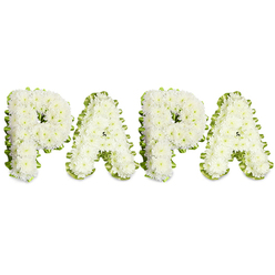 A lovingly made, custom floral tribute that spells PAPA in clean, uppercase lettering, shown on a stark white background to emphasise form and feeling. Each letter is formed from tightly packed white spray chrysanthemums - their small, full heads layered to create a soft, pillowy surface with delicate ruffled edges. The blossoms are arranged with meticulous care so the letters sit slightly raised from the backing, creating a subtle, three-dimensional quality. A narrow folded ribbon of pale lime-green or a fine border of fresh foliage traces each letter's edge, offering a cool contrast that sharpens the silhouette and breathes a touch of spring-like freshness into the composition.

The arrangement reads as a compassionate memorial: white for peace and remembrance, green for renewal and the small gesture of life continuing. Lighting is gentle and even, chosen to reveal the chrysanthemum textures and the neat craftsmanship without dramatic contrast. You can almost imagine the faint, powdery scent of the blooms and the soft give of petals under a careful hand. Prepared with the quiet confidence of a local florist who knows families across Brent Cross, Cricklewood and Golders Green, this tribute is suitable for funeral services, wakes or graveside dedications where a familiar, affectionate name like PAPA expresses warmth, respect and enduring love. For bespoke memorial pieces tailored to local services, Brent Cross Flowers can advise on size, delivery and placement to honour the person you remember.