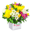 A cheerful, rounded bouquet brimming with colour and texture emerges from a pristine white cube box, photographed on a pure white background so nothing distracts from the flowers themselves. The design is built around bright yellow chrysanthemums and small yellow spray roses, their densely layered petals creating a soft, almost cushion-like surface that feels warm and welcoming, much like stepping into a cosy home near Brent Cross after a long day. Interspersed among these are cool white chrysanthemums and petite daisy-like blooms with green centres, bringing a crisp, clean lightness that balances the richness of the yellows. Dotted throughout the arrangement, striking fuchsia and magenta chrysanthemums, some touched with gentler pink at the edges, add pockets of bold colour and a playful sense of depth, drawing the eye around the bouquet's smooth dome. Deep, glossy green foliage frames the base and pushes up between blossoms, grounding the composition and giving the impression of freshly cut stems arranged with care by a local florist. The white cube container, simple and modern, highlights the rounded mass of flowers above it, making the piece feel contemporary and ready to be placed on a table in a Brent Cross apartment, a local shop counter, or a hospital bedside nearby. The overall atmosphere is bright and uplifting, ideal for an inexpensive birthday surprise, a spontaneous cheer up gift, or a colourful centrepiece for a small gathering, with the blend of colours and textures suggesting freshness and thoughtful craftsmanship.