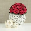 A rounded, luxurious arrangement of red roses is showcased on a smooth white table, styled with the quiet elegance of a wedding table in Brent Cross. The bouquet is shaped into a perfect dome, the roses set so closely together that they form a continuous surface of velvety petals. Deep crimson tones dominate, with subtle shifts in shade as the light grazes the curved surfaces of each flower. Some roses remain in tighter buds that promise to open, while others have begun to unfurl more fully, their spiralling centres adding depth and interest. Scattered between the blooms are clusters of red hypericum berries, their polished, bead-like forms introducing a different texture and a slightly darker red that sparkles gently in the soft light. A narrow band of dark green foliage frames the base of the flowers, peeping out just enough to provide contrast and a refreshing edge of colour. This floral mound rests within a white, spherical vase made from slender twigs woven into an open lattice, each twig painted a crisp, matte white. The airy, cage-like design of the vase lets glimpses of the stems and background show through, giving the piece a light, contemporary feel that would complement modern homes around Brent Cross and Golders Green. On the left-hand side of the arrangement, two decorative wicker balls in a pale natural wood colour lie on the same gleaming white surface, thoughtfully positioned with the larger one in front and the smaller one behind. Their relaxed, interwoven strips echo the structure of the vase and bring a soft, organic counterpoint to the roses' formality. In the background, a softly blurred wall in neutral beige or taupe tones lends a calm, understated backdrop, with just a hint of woven texture. The entire image is bathed in gentle, even light, allowing the red roses and berries to glow warmly, creating a feeling of romance and celebration, ideal for wedding receptions, anniversary dinners, or special gatherings enhanced by local flower delivery across Brent Cross.