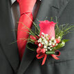 Pinned neatly to a charcoal suit jacket, this boutonniere showcases a single pinkish-red rose that seems to glow from within, the petals layered and plush like soft velvet under gentle indoor light. The rose sits at the heart of the design, framed by airy tufts of baby's breath, their tiny white blooms creating a halo that tempers the richness of the red. Around it, fine strands of greenery arc outward, feathery and light, giving the piece a sense of movement that feels almost wind-swept, like a stroll through nearby Brent Park on a calm spring day. Clusters of crimson berries nestle near the base, their smooth, shiny surfaces catching the light and adding a festive note without overpowering the central bloom. Everything is gathered and secured with a slim red ribbon, its tidy wrap mirroring the precision of a carefully knotted scarlet tie just above. The contrast between the dark, structured suit and the vibrant floral elements creates a striking but still understated effect-masculine, refined, and quietly romantic, perfect for weddings at local venues around Brent Cross, special dinners, or prom celebrations. You can almost sense the cool touch of the leaves, the delicate roughness of the baby's breath, and the faint, sweet fragrance that lingers close to the wearer. This boutonniere feels like a personal signature crafted in flowers, the sort of detail a local florist would fine-tune by hand, petal by petal, to ensure every photograph and every embrace carries a touch of natural elegance.