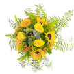 This bouquet captures the very essence of sunshine and happiness, imbued with the welcoming energy of Brent Cross. Luminous sunflowers-each with rich, dark centers-stand proudly amidst clusters of golden yellow roses, their petals arranged in soft, velvet-like swirls. playful accents of orange-red berries add dynamic pops of color, recalling the festive cheer of local gatherings near Brent Cross Shopping Centre. The arrangement is thick with layered greens, from cool, aromatic eucalyptus to glossy leaves that anchor the design. Encircling all this brightness are airy fronds of Asparagus fern, their lacy texture creating a gentle, whimsical frame that allows each bloom to shine. Crafted with careful expertise to reflect Brent Cross's distinctive style, this bouquet evokes heartfelt celebration and hope, suitable for birthdays, thank-you gifts, or just brightening a flat with a taste of local cheer. The blend of uplifting colors, fresh green scents, and soft textures is a tribute to the area's natural beauty, ensuring that every delivery by Brent Cross Flowers carries not just flowers, but also a sense of connection and joy.