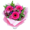 A lively, celebratory bouquet centred on three large fuchsia Gerbera daisies whose many radiating petals form confident, sunburst shapes around dark, almost black centres. Around these bold focal blooms nestle dozens of soft lavender-pink roses-buds just beginning to unfurl in a dusty-rose tone that feels both tender and refined. Scattered like confetti through the composition are tiny clusters of deep violet statice, their papery texture adding bright punctuation and a cool contrast to the warm pinks. Broad, glossy green leaves-suggestive of salal or eucalyptus-fan out behind the flowers, giving a crisp, garden-fresh backdrop that makes the pinks pop. The bouquet is lovingly wrapped in a soft, matte pale-pink tissue that cradles the stems, then finished with a sheer, slightly crinkled fuchsia-pink cellophane that catches the light with a subtle shimmer and reinforces the pink theme. At the base, the top rim of a clear glass vase peeks through, indicating this arrangement is ready to be displayed on a kitchen island or bedside table. The overall impression is cheerful and affectionate: the scent is lightly floral, roses offering a sweet, classic perfume while the gerberas bring a faint green, fresh note. Arranged with the care of a local florist who knows how flowers read in close quarters, this bouquet is ideal for birthdays, Mother's Day, anniversaries, or as a spontaneous gesture to lift someone's spirits. Picture it arriving with a polite rustle of wrapping, the petals catching morning light as if to say, 'You are thought of and celebrated today.'
