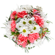 This expertly arranged bouquet by a skilled Brent Cross florist captures the uplifting spirit of NW London's changing seasons. Seen from above on a white backdrop, the bouquet bursts with spirited white daisies whose glowing lime-green centers draw the eye, surrounded by inviting coral-pink carnations that add rich volume and a sense of warmth. Wisps of gypsophila, shimmering like stardust, float gently through the blooms, imparting a delicate softness and a breath of freshness reminiscent of a walk across Brent Park in spring. Eucalyptus sprigs in silvery tones and deeper green foliage together create a layered foundation, enhancing both the visual texture and olfactory appeal with earthy notes. Subtle alstroemeria buds, tinged in gentle pink and purple, nestle among the leaves, hinting at new beginnings and the ongoing renewal found throughout NW4. The round, harmonious shape and thoughtful placement signal the hand of an experienced local florist-someone deeply attuned to both tradition and modern flair. This bouquet radiates joy and celebration, making it a fitting choice for birthdays, congratulatory occasions, or simply to brighten a home or office along Brent Street or further afield. The arrangement is a vibrant homage to Brent Cross's unique blend of energy and tranquility, available for prompt delivery from Brent Cross Flowers to bring happiness wherever it's needed.