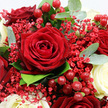 This photograph presents a close, immersive view of a luxurious bouquet designed in rich red and cream tones, ideal for a romantic surprise or an elegant dinner setting in Brent Cross. At the heart of the arrangement sits a magnificent deep crimson rose, fully opened and perfectly formed, its velvety petals spiralling inward to create a focal point of intense colour and soft texture. Surrounding this central bloom are other dark red roses, some only partly open, others more expansive, overlapping one another to form a lush carpet of crimson that radiates warmth and passion. Woven between these deeper hues are creamy white roses, their smooth, ivory petals gently cupped and luminous in the soft light, offering a soothing contrast that brings balance and visual relief. Delicate sprays of tiny red Gypsophila blossoms drift among the larger flowers, each minute bloom contributing to a mist-like veil of texture that keeps the bouquet from feeling too heavy, adding lightness and a sense of gentle movement. Tucked among the petals, clusters of glossy red Hypericum berries glisten, small and round like polished beads, catching the light and injecting a subtle, festive sparkle that would suit both romantic milestones and winter gatherings in the Brent Cross area. The flowers and berries are nestled within a halo of fresh greenery, including cool, silvery-green eucalyptus leaves and deeper green foliage, which frames the composition and heightens the contrast of red and white. The overall lighting is soft and even, revealing every curve of the petals and every shine on the berries without harsh shadows, creating a feeling of intimacy and quiet celebration. Together, these elements form a bouquet that evokes love, elegance, and joyful occasions, perfect for sending meaningful sentiments to friends, partners, or family across Brent Cross and nearby communities.