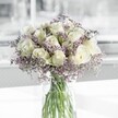 A serene white and lavender bouquet stands in a clear cylindrical glass vase, its beauty captured in soft, natural light as if placed near a bright window in a Brent Cross home. At the centre, creamy white roses open in perfect spirals, each velvety petal curling gently outward, catching the light so they almost appear to glow. Their ivory tones are pure and calm, with subtle shadows that reveal the structure of each bloom. Threaded between and around the roses is a cloud of lilac-tinted limonium, also known as sea lavender, its tiny clustered flowers creating a delicate, misty halo that softens the whole arrangement. The limonium's texture is airy and feathery, offering a gentle contrast to the smooth, full rose heads, like fine lace around a silk gown. Below, the stems are clearly visible through the transparent vase, straight and clean in the clear water, their fresh green hues reflected lightly on the glass surface. The overall palette is cool, tranquil, and understated, ideal for a quiet corner in a modern flat off the North Circular or a peaceful bedside in a home near Brent Cross Shopping Centre. The bouquet feels appropriate for sympathy, for a thoughtful thank-you, or simply for bringing a moment of calm into a busy London day. There is an implied, subtle fragrance: soft rose notes mingled with a faint herbal freshness from the limonium, evoking early morning walks through nearby parks with dew still on the grass. Expertly arranged, this display radiates quiet hope, tenderness, and the kind of gentle elegance that never goes out of style, making it easy to imagine it arriving by same-day delivery to a doorstep anywhere around Brent Cross.