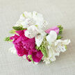 A compact, romantic bouquet lies gently on a pale, linen-like backdrop, its colours and textures harmonising like a carefully orchestrated celebration near Brent Cross shopping centre. At its heart, full-headed peonies in vibrant fuchsia and rich raspberry tones unfurl in plush, ruffled layers, some petals curling outward confidently while others remain closer to the core, creating soft shadows within the bloom. Circling these showy centrepieces, white alstroemeria spread gracefully, their trumpet-shaped flowers marked with fine maroon stripes and tiny speckles on the inner petals, lending an intricate, almost lace-like detail against the creamy background. Slender green stems, unopened buds, and tiny leafy tips weave between the blooms, adding touches of fresh, vivid green that keep the design lively and natural, as though gathered from a nearby garden along the North Circular's quieter residential streets. The stems are drawn together into a tidy bundle and secured by a smooth, pale pink ribbon wrapped around them in even, polished bands, forming a comfortable handle that speaks of bridal parties and special occasions. Soft natural light, similar to an early afternoon glow falling through bay windows in Brent Cross, washes over the arrangement, emphasising the crisp contrast between the cool whites and the intense pinks, while gentle shadows deepen the sense of volume and texture. In the imagination, there is a subtle fragrance: the rounded, delicate sweetness of peonies with a hint of fresh green from the alstroemeria, like the scent of a garden just after light summer rain. Perfect for bridesmaids, engagement celebrations, or heartfelt birthday deliveries around Brent Cross, Hendon, and Cricklewood, this bouquet radiates joy, gratitude, and the thoughtful care of a skilled local florist.