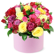 An abundant, couture bouquet of roses brimming over a round light pink hat box, created by Brent Cross Flowers for local delivery across Brent Cross and surrounding neighbourhoods. The arrangement is a tapestry of colour, with large crimson blooms, bright yellow roses, fuchsia pinks, pale pinks, luxurious magenta and lavender tones, and creamy white roses mingling in a dense, domed crown. Some roses stand fully open, others in spray form or as tender buds, giving depth and texture. Dark green leaves and stems thread between the blossoms, heightening their freshness against the soft pink container. The box's smooth matte finish anchors the display with modern elegance. Set on a white backdrop, the arrangement radiates warmth and generosity, a thoughtful gift for birthdays, anniversaries, Valentine's Day, Mother's Day, or simply to brighten someone's day in Cricklewood, Hendon, or Golders Green. This lush rose box is a testament to the craft of a Brent Cross florist, and it arrives with reliable same-day delivery to local homes and businesses.
