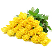 The photograph shows a full, horizontal sweep of yellow roses, approximately twenty-four blooms gathered close together and set against a spotless white background that makes their colour sing. Each rose has its own personality: some are tight and compact, with petals wrapped in a perfect spiral at the centre, while others have opened further, revealing delicate, overlapping layers with a velvety texture you can almost feel. The yellow tone is bright yet tender, more like soft morning sunlight than intense midday glare, which gives the overall arrangement a calming, consoling presence ideal for sympathy flowers sent around Brent Cross. Deep green leaves surround and support the blossoms, their slightly glossy surfaces catching the light and providing a natural counterpoint to the golden petals. Beneath the blooms, sturdy stems lie in an orderly line, with a few discreet thorns visible, lending the composition a sense of authenticity and strength. The lighting is gentle and even, so there are no harsh contrasts-just a smooth gradation of light that brings out every curve and fold in the roses. The bouquet feels peaceful, like a quiet moment of reflection in a home off the North Circular or a still corner near Brent Cross Shopping Centre. It suggests togetherness and empathy, the flowers seeming to lean into one another in silent support. This is the kind of arrangement that might be placed beside a cherished photograph or taken to a small memorial gathering, carrying a message of love, remembrance, and the hope that, even in grief, warmth and kindness remain.
