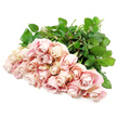 A softly gathered line of pale blush roses rests on a pristine white background, reminiscent of a tender farewell arrangement prepared for a Brent Cross family wanting something understated yet deeply heartfelt. The bouquet appears to contain around two dozen roses, their long stems neatly aligned and stretching into the distance while the flower heads fan out in a broad, graceful arc. Each rose has its own character: some are still cupped tightly around their centres, others have begun to open into fuller rosettes, with petals that twist and curl in delicate spirals. The palette is relaxing and gentle-a muted light pink with champagne and dusty rose nuances that deepen into soft lavender where the petals fold inward, then brighten to creamy, almost ivory edges catching the light. The velvety look of the petals suggests tenderness and care, as if they have just been arranged by a thoughtful florist at Brent Cross Flowers. Beneath the blooms, dark, glossy leaves and sturdy, fresh green stems anchor the composition, providing a natural frame that amplifies the pastel tones above. The lighting is bright yet soothing, casting only the softest shadows, evoking the calm of an overcast day along the quiet streets and gardens near Brent Cross. No vase, bow, or card intrudes; the focus is solely on the roses themselves, laid down as though in a moment of reflection. This image captures the essence of a sympathy bouquet meant to convey compassion and gentle support-ideal for funeral tributes, memorial services, or condolence deliveries across Brent Cross, when loved ones need a visual expression of care that speaks with grace and restraint.