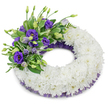 A solemn, circular funeral wreath captured against a clean white studio backdrop, its presence quiet and uncompromising. The broad ring is entirely formed from tightly massed, cushion-style white chrysanthemums whose ruffled, multi-petalled heads nestle together to create a plush, seamless texture that reads as softness and serenity. In the upper-left quadrant a carefully composed spray breaks the white with a sweep of purple lisianthus; the Eustoma flowers range from deep violet, fully open blossoms with delicate yellow throats to paler lavender buds on slim stems, giving the cluster depth and gentle movement. Interspersed among the purple blooms are sprays of fresh green foliage - glossy variegated leaves and fine, feathery fern fronds - which add cool relief and a subtle architectural counterpoint to the rounded chrysanthemum base. A tasteful trimming of dark purple, crinkled mesh or lace peeks out beneath the chrysanthemums along both inner and outer edges, echoing the lisianthus tone and lending a refined, finished edge to the wreath. The studio lighting is soft and diffuse, casting a faint shadow beneath the piece that lifts it slightly from the white surface and emphasises the wreath's dimensionality. There is an understated suggestion of scent; the clean, faintly sweet aroma of white chrysanthemums blending with the velvety, almost tea-like perfume of the lisianthus that together feel comforting rather than overpowering. This arrangement reads as a dignified expression of sympathy and remembrance - a composition meant to be placed at a funeral or graveside, to accompany quiet reflection and to honour a life with graceful restraint. For local families in Brent Cross and surrounding neighbourhoods, the wreath offers a composed, traditional option in moments of farewell.