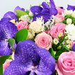 The bouquet in this photograph is shown in a close, immersive view, as though you are standing right at the workbench of a Brent Cross florist, watching the final stems being tucked into place. Dominating the design are striking purple Vanda orchids, each displaying broad, satiny petals richly infused with violet and patterned with a darker, lattice-like marking that gives them an almost three-dimensional depth. The orchids are artfully nestled among a generous profusion of roses in soft, romantic shades: gentle blush pinks that feel tender and serene, deeper medium pink roses that add warmth and passion, and creamy white blooms tinged with the palest hint of yellow at the core, contributing a subtle inner glow. Every rose head is densely petalled, with velvety spirals that create a cushion of texture around the bolder orchids. Between these larger blossoms, you can see clusters of small, round, waxy white berries, likely Hypericum, which add a contemporary, textural accent, like scattered pearls against a silk backdrop. Tiny, white filler flowers-resembling miniature chrysanthemums or button carnations-pepper the spaces, giving the design an airy softness and visual rhythm. The greenery is thoughtfully layered: smooth, oval-shaped leaves in vibrant green offer a fresh, lively contrast, while feathery, silver-green foliage much like Dusty Miller lends a cool, velvety touch and softens the overall look. All of this is framed by a clean white background, allowing the bouquet's rich purples, rosy tones, creams, greens, and silvers to take centre stage. The result is a sophisticated, celebratory arrangement, perfect for romantic surprises, birthday gifts, or elegant thank-you flowers delivered across Brent Cross and nearby neighbourhoods, radiating a sense of refined beauty and heartfelt intention.