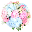 A graceful pastel bouquet is shown in close detail, positioned against a clean white background that allows every colour and texture to stand out clearly, much like a bright window view over Brent Cross. At its heart, lush blush pink peonies bloom in full, their many ruffled petals unfolding in layers that create a deep, plush appearance, hinting at a soft, powdery scent. Between these generous blossoms, rounded clusters of sky blue hydrangeas rise and spill outward, their tiny, overlapping petals forming pillowy domes that lend the arrangement a cloud-like softness and fullness. Interwoven are delicate spray roses in shades of blush pink and creamy yellow, some tightly closed and some beginning to open, each small head adding a touch of classic romance and fine detail. A few hot pink calla lilies curve with quiet drama, their sleek, trumpet-shaped flowers and vivid colour giving a contemporary edge to the otherwise gentle palette. Around and beneath the blooms, silvery Dusty Miller leaves with a velvety texture sit alongside deeper green foliage, creating subtle contrast and grounding the design. The bouquet is carefully shaped into a rounded, harmonious form, demonstrating skilled craftsmanship and balance. The impression is of calm celebration and refined joy, the kind of arrangement chosen for marking life's meaningful moments in Brent Cross-perhaps a birthday brunch, an anniversary at home, or a warm welcome gift for new neighbours. The combination of peonies, hydrangeas, roses, and calla lilies in these soothing tones suggests a gentle fragrance and a lingering sense of tenderness, ideal for same-day delivery throughout the local area.