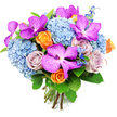 A lush, rounded bouquet stands out against a bright white background, its colours glowing as vividly as the displays inside Brent Cross Shopping Centre. At its heart are several striking Vanda orchids in fuchsia and deep magenta, their wide petals patterned with tiny white speckles that create a delicate, almost net-like texture. These orchids are strategically tucked between the other blooms, adding flashes of exotic colour and luxury. Forming the main body of the arrangement, cloud-like heads of sky-blue hydrangeas spread outward in gentle domes. Each head is made up of numerous small florets, the soft layering of petals giving a plush, cushiony feel that suggests generosity and comfort, like stepping into a warm home near Brent Cross after a long day. Threaded through these blues are roses in two complementary shades: lively orange roses, whose spiralling centres feel joyful and uplifting, and muted lavender roses that bring a quieter, more reflective warmth, ideal for expressing gratitude or long-standing affection. Slender stems of deeper blue accent flowers poke out amongst the larger blooms, providing upright lines and darker tones that deepen the overall colour palette. A frame of glossy green foliage, with broad leaves that catch the light, cradles the bouquet and adds a fresh, garden-inspired element. At the base, the stems are clearly visible, neatly trimmed and tied, showing the care that has gone into this hand-crafted design. The bouquet feels both modern and romantic, perfect for same-day delivery around Brent Cross, whether for a birthday surprise in a nearby flat, a thoughtful thank-you gift, or an elegant centrepiece for a relaxed dinner gathering at home.
