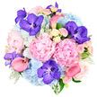 This image shows an opulent bouquet styled into a full, rounded dome and set against a bright white background, allowing its harmonious mix of colours and textures to truly shine. At its heart, several large pastel pink peonies bloom in lush, ruffled layers, their voluminous petals creating a sense of softness and romantic abundance that would feel at home in an intimate celebration around Brent Cross. Embracing these focal flowers are generous clusters of sky blue hydrangeas, their many tiny petals forming pillowy, cloud-like heads that introduce coolness and volume. Threaded among the pastels, vivid fuchsia-purple Vanda orchids draw the gaze with their exotic character, their speckled petals adding intricacy and a jewel-toned richness. Coral pink calla lilies arc gracefully from the rounded surface, their smooth, trumpet shapes lending a modern, sculptural rhythm that gives movement to the composition. Filling the delicate spaces in between, light pink and creamy white spray roses contribute fine, detailed blossoms, reminiscent of cottage garden flowers caught at the perfect stage of opening. Peeking through the blooms, mixed greenery in silvery and deep greens-particularly the velvety dusty miller-grounds the brighter tones and adds depth and natural structure. The result is a bouquet that feels both lavish and thoughtfully balanced, with its blend of pink, blue, purple, and coral suggesting celebration, gratitude, and heartfelt sentiment. Ideal for a wedding, an anniversary, or a sophisticated gift delivery across Brent Cross and nearby North West London, the arrangement radiates elegance and the quiet joy of a carefully chosen gesture.