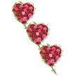 This photograph presents three cascading heart-shaped floral arrangements, each one densely packed with roses and edged with fresh ivy, resting on a spotless white background. The hearts step down diagonally, almost as if they are drifting gently from one corner of the frame to the other. Within every heart, a tapestry of red and pink roses creates a sense of abundant love: deep burgundy and crimson blooms nestle beside bright scarlet, vibrant fuchsia, and softer coral and blush tones. Some roses are still rounded buds, others are in the process of opening, and many have unfurled fully, revealing spiral centres and layered petals that catch the light. The flowers are arranged so closely together that the surface of each heart looks full and plush, like a cushion of petals. Around the outer edge, glossy green ivy loops and curls, its stems and leaves outlining the heart shapes and lending a natural, slightly wild touch. Wisps of ivy connect the hearts, forming a visual chain that suggests connection across time, much like the way families from Brent Cross, West Hendon, and the nearby shopping and residential streets remain linked by shared memories. The clean, uncluttered background emphasizes the vivid colours and the careful craftsmanship of the tribute, making it easy to imagine this piece displayed with quiet pride at a funeral or memorial service. It is a composition that feels both intimate and dignified, expressing grief, gratitude, and enduring affection through the timeless language of roses.