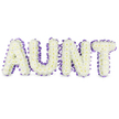A dignified, softly lit photographic view of the word 'AUNT' formed from a dense carpet of pristine white spray chrysanthemums, each tiny bloom layered to create plush, cloud-like letters set against a clean white background. Up close the chrysanthemums reveal pale yellow centres peeking through the sea of creamy petals, adding a natural warmth to the otherwise pure white surface. Each letter is neatly edged with a deep purple satin ribbon, ruffled and pleated around the sturdy frame so the ribbon catches the light with a gentle satin sheen; the contrast between the rich purple trim and the soft white flowers reads as both elegant and tender. Subtle grey shadows beneath each letter give the composition three-dimensional weight, suggesting the letters rest slightly above the surface and inviting the eye to trace their curves and angles. There is a quiet, fresh fragrance in mind - a green, dewy scent that seems to rise from the chrysanthemums - and the arrangement carries the comforting clarity of memory and respect. As a floral tribute designed for memorial use, the piece balances repose with affection: the cool white symbolises purity and the purple edge adds a note of reverence. I imagine this finished tribute placed near Brent Cross Shopping Centre chapels or delivered across Brent Cross and nearby Hendon, arriving with the delicate care of a local florist who understands both craft and consolation. The overall effect is a personalised, heartfelt commemoration that feels steady and lovingly made, an eloquent floral message for family to gather around.