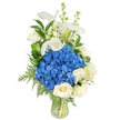 A tall, elegant bouquet stands in a clear glass tapered vase against a pure white background, its composition speaking of calm and refined taste. At the heart of the design sits a generous, rounded cluster of deep, royal blue hydrangeas whose cushion-like heads read almost velvety, cooling the eye with their saturated blue. Nestled around and below this blue core are creamy white roses, each bloom opening in soft, layered spirals that suggest warmth and classic romance. Rising above the cluster, sculptural white calla lilies sweep upward on smooth stems, their trumpet-shaped spathes catching light like delicate porcelain and showing a faint pale green at the base. Interspersed among the taller lilies and the hydrangea mass are slender spires of white snapdragons (or stock), their tiny florets adding vertical rhythm and a touch of whimsical movement. Throughout the arrangement, broad glossy dark green leaves - the kind of salal or lemon leaf we often choose - provide a rich backdrop, while lighter, feathery fern fronds cascade gently toward the vase lip to soften the silhouette. The stems are neatly gathered and visible through the clear water, giving a clean, honest finish to the design. Bathed in soft studio light, the bouquet feels serene and composed, suited for sympathy or remembrance yet tasteful enough for anniversaries or as a striking table centerpiece. As a local Brent Cross floral design, it evokes the quiet dignity many customers ask for when sending comfort across the neighbourhood from Cricklewood to Golders Green.