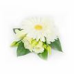 A small, elegant corsage arranged on a clean white background: at its heart sits a fully open white Gerbera daisy, its smooth, broad petals fanning outward around a textured yellow-green centre that feels lively and bright. Surrounding the Gerbera are soft, ruffled Eustoma (Lisianthus) blooms and buds in creamy white to pale buttery yellow tones, some just unfolding so their delicate frilled edges catch the gentle, diffuse light. A smaller layered white daisy or chrysanthemum peeks from the upper right, adding fullness and a vintage, garden-fresh note. The cluster is grounded by several broad, glossy emerald green leaves with a waxy sheen that give the composition a lush, botanical frame and pleasing contrast against the pale flowers. Tiny, pearlescent white beads are subtly woven into the foliage on the right, catching the light and lending a quiet touch of formality-perfect for a bridegroom's lapel or a mother-of-the-bride corsage. The lighting is soft and even, emphasizing the velvety textures of petals and the crispness of the greens without harsh shadows, so you can almost sense the cool, clean fragrance of morning blooms. The arrangement curves gently as if it had been gathered from a local garden in Brent Cross, recalling quiet walks near Clitterhouse Recreation Ground or the fresh florals sold at the local market. A florist would pin this compact, refined piece with care for weddings, proms, or intimate ceremonies, where its understated palette of white, cream and green reads as timeless, calming and celebratory-an emblem of new beginnings in a quiet North London setting.