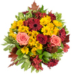 A top-down view of a lush, hand-tied autumn bouquet arranged in a near-perfect circular dome on a clean white background, the composition radiating warmth and seasonal abundance. Bright golden-yellow button chrysanthemums form a cheerful, sunlit carpet at the centre, their compact, cushiony heads catching soft light and offering a resilient, slightly spicy scent. Deep burgundy gerbera daisies sit prominently among them, their flat faces and darker centers adding dramatic depth and a bold, grounding contrast. Scattered through the mass are fully opened roses in velvety crimson and in softer coral-pink and peach tones, their layered petals whispering of late summer romance as they unfurl. Small, star-shaped alstroemeria in cranberry and reddish-brown hues weave fine texture through the larger blooms, their slender throats and freckled petals adding intricate detail. Glossy green foliage - broad, fresh leaves and a few variegated pale-green leaves with creamy margins - frames the bouquet and provides cool relief to the warm palette, while a handful of reddish-brown maple-like leaves peek from the edges, evoking a woodsy autumn walk. The overall effect is tactile: the chrysanthemum heads feel springy, the roses silky, the gerberas firm and lively, and the foliage crisp. The arrangement sits like a harvest wreath meant for a dining table or a heartfelt gift for a neighbour in Brent Cross, perfect for a cosy seasonal centrepiece, an intimate autumn wedding, or to mark a thoughtful birthday. Imagined in the gentle daylight of a Brent Cross morning, this bouquet reads of gratitude, comfort and the quiet beauty of the changing season.