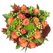 Seen from directly above against a crisp white backdrop, this carefully hand-tied autumn bouquet glows like late-afternoon sunlight. At its heart are abundant, fully opened roses whose petals melt from warm peach and soft coral at the centre to richer orange and russet at the outer edges; a few outer petals carry a reddish-rust wash, creating a natural ombré that reads like turning leaves. Tucked intimately between the roses are round clusters of Hypericum berries - some bright lime-green, others a creamy pale yellow - that punctuate the arrangement with jewel-like highlights and a contrasting glossy texture. Sprigs of Green Trick dianthus or a similar mossy filler offer dense, velvet-like mounds of vibrant green, their unusual, spongey texture bringing playful depth and a woodland feel. Larger, fresh green leaves with broad, slightly glossy surfaces form a lush foundation while smaller serrated greens weave through the blooms, giving the composition its sense of abundance. Scattered among these are deep, burnished leaves in reddish-brown and burgundy tones, reminiscent of fallen oak or maple, that anchor the palette and accentuate the autumnal mood. Soft, diffuse light skims across the petals and glossy foliage, catching the velvet on the rose blooms and casting gentle shadows that enhance the bouquet's sculptural roundness. There's an earthy, late-summer scent: a subtle mix of rose sweetness, green moss, and the faint tang of berries. Perfect as a Thanksgiving centrepiece, a cosy autumn gift, or a warm welcome for guests, this arrangement carries a comforting, harvest-rich character ideal for homes throughout Brent Cross and nearby Cricklewood.