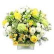 A vibrant bouquet bursting with sunny yellow, crisp white, and lively lime green tones is elegantly arranged in a clear, square glass vase, photographed against a stark white background that enhances its freshness and detail. The bouquet has a rounded, full shape, thoughtfully composed so that each flower contributes to a sense of abundant yet refined beauty, much like a curated display in a Brent Cross boutique. At the forefront, golden yellow roses draw the eye, some fully open to reveal intricate layers of velvety petals, others still in bud, suggesting the promise of days ahead. Smaller yellow spray roses are tucked between these larger blooms, creating pockets of warm colour and subtle textural changes. White pompom chrysanthemums, with their dense, spherical heads, bring a calming, plush softness that contrasts gently with the sharper contours of the roses. Sprinkled throughout, lime green button chrysanthemums offer an invigorating pop of colour, their diminutive, globe-shaped blooms lending a playful, modern character. Larger, ruffled pale green blooms-similar to soft green carnations or specialty chrysanthemums-weave through the design, uniting the yellows and whites into a cohesive, harmonious palette. The flowers rise from a base of rich greenery: broad variegated leaves edged in creamy white, deep green foliage, and light, airy filler greens that create a sense of depth and natural movement reminiscent of walks around the nearby Brent Cross parks. Tiny white, star-like filler flowers are dotted among the main blooms, adding sparkle and fine detail. Around the vase's midsection, a textured, rustic wrap encircles the glass, topped with a sleek band of lime green ribbon that echoes the fresh green flowers above. This arrangement radiates joy, comfort, and gentle celebration, making it an ideal gift for birthdays, congratulations, or simply brightening a Brent Cross home or office with same-day local delivery from Brent Cross Flowers.