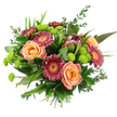 Captured against a pure white background, this generous hand-tied bouquet glows with warm, inviting colours and layered texture, evoking the feeling of a thoughtful surprise arriving at a Brent Cross doorstep. The central focus is a cluster of fully open roses in gentle peach and apricot shades, their petals unfolding in soft spirals that create a sense of intimacy and calm celebration. Around them, bold Gerbera daisies in deep magenta and dusty rose release a lively energy, with velvety petals that fan out from bright, golden and orange centres, much like tiny suns radiating warmth. Standing proudly a little higher, a single protea adds a dramatic, exotic note, its tapered, cone-like form and firm, overlapping bracts in reddish-brown and maroon giving the arrangement a sculptural presence. Throughout the bouquet, bright lime-green button chrysanthemums form compact domes of colour, their tightly packed petals lending a playful, tactile quality and a refreshing contrast to the warmer tones. Supporting this colourful display is a rich array of foliage: glossy leaves offer depth and shine, slender blades weave between stems, and soft eucalyptus sprigs bring a cool, silvery hint that suggests fresh, aromatic notes. The stems are carefully gathered and tied at the base, making the bouquet ready to slip into a favourite vase or be presented by hand. The completed design feels both modern and timeless, perfectly suited for birthdays, anniversaries, or simply sending a message of joy and appreciation within the Brent Cross area.
