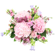 An abundant bouquet awash in pinks and soft lilacs stands out vividly against a bright white background, every element carefully composed. Three rounded clusters of pale pink hydrangea dominate the centre, their small, tightly packed petals forming lush, cloud-like domes that immediately draw the eye. Nestled around these are blush pink roses, some fully open with velvety spirals, others still tightly furled, creating a pleasing contrast between maturity and new bloom. Scattered through the arrangement are petite, star-shaped filler flowers in rich magenta and vibrant fuchsia, reminiscent of waxflower, which add tiny flashes of intensity and intricate detail. Complementing them, delicate five-petalled pink flowers weave subtly among the larger blooms, enhancing the sense of depth and gentle movement. Along the outer edges, slender stems bearing bell-shaped flowers in cool lavender and soft periwinkle blue-similar to campanula-extend gracefully outward, like a ring of tiny bells circling the bouquet and offering a serene counterpoint to the warm pinks. Fresh green leaves, from broad hydrangea foliage to slim, leafy stems, peek through the blossoms, adding structure and a freshly gathered feel, as though the flowers were picked from a garden just beyond the shops of Brent Cross. The overall impression is of a lush, rounded arrangement that feels both celebratory and soothing, ideal for anniversaries, congratulations, or a thoughtful delivery from Brent Cross Flowers to brighten a home in Cricklewood or Finchley. It captures the softness of spring and the quiet joy of giving or receiving something beautifully crafted.