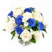 An elegant blue and white floral arrangement stands quietly in a clear glass vase, set against a spotless white backdrop that allows each bloom to stand out with clarity and grace. Photographed from a gently raised viewpoint, the bouquet forms a soft, rounded dome, the flowers arranged closely together to create a feeling of fullness and gentle embrace. Royal blue roses appear throughout the design, their velvety petals folded into deep, saturated layers that draw the eye and lend a sense of depth and devotion. Intermingled with them are creamy white and ivory roses, opening in plush, rounded blossoms that bring softness and tranquility to the overall palette. Threaded through the roses, delicate white freesia rise on slender stems, their small, bell-shaped flowers and buds giving the bouquet a light, airy character and hinting at a fresh, subtle fragrance. Fine sprigs of white gypsophila fill the small spaces between blooms, adding a cloud-like halo that makes the arrangement look even more generous and soothing. Around the base, touches of dark green foliage emerge in measured accents, framing the pale flowers and grounding the design, much like the calm greenery that borders nearby streets and pathways around Brent Cross. The cylindrical glass vase, partially visible, holds the stems neatly in clear water; its faintly ribbed base gently reflects the light without distracting from the flowers. The overall impression is one of composed elegance and quiet compassion, an image that captures the kind of sympathy bouquet chosen to honour cherished memories and offer comfort to families throughout Brent Cross and the surrounding North London neighbourhoods.
