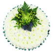 Displayed against a clean white background and viewed from directly overhead, this circular floral tribute resembles a calm, white cushion framed with green. The entire surface is densely covered with small white chrysanthemums, so closely arranged that they form a seamless, padded layer. Their many slender petals overlap to create a soft, feathery texture, while the faintly green centres introduce just a hint of colour and life. Around the outside edge, a deep emerald green satin ribbon is folded into regular, scalloped pleats, adding a structured border that gently shines in the light and gives the arrangement a refined, formal appearance. Near the top of the circle, a focal cluster of green blooms, berries, and foliage breaks through the white, introducing both contrast and depth. At the centre of this cluster, a lime-green spider chrysanthemum stretches its long, fine petals outward like delicate tendrils, immediately catching attention. Surrounding it, apple-green Hypericum berries gather in compact, glossy clusters, nestled among dark green fern fronds and other rich foliage that curve and arch gracefully. Rising from this verdant mix are two distinctive Scottish thistles, their spherical, spiky heads shaded in muted blue-violet tones, bringing strong texture and a meaningful nod to Scottish heritage or personal memories. The arrangement feels composed, cool, and reassuring, its colours and shapes suggesting peace, remembrance, and gentle strength. It is easy to imagine this floral cushion being delivered for a funeral or memorial gathering in Brent Cross, Temple Fortune, or along the Edgware Road, offering a dignified and heartfelt expression of sympathy from those who cannot always find the right words.