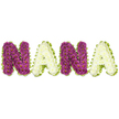 A lovingly crafted sympathy tribute spells out NANA in bold, three-dimensional floral letters, photographed against a pristine white background that makes every petal and contour read clearly. Each letter is tightly packed with small chrysanthemum-like blooms: the two Ns formed of deep magenta to plum chrysanthemums with tiny yellow eye centres, and the two As created from soft, creamy white chrysanthemums that offer a cool, calming contrast. A bright lime-green edging-pleated ribbon or closely arranged foliage-wraps each letter in a neat, undulating frame, giving the composition the feel of a carefully finished keepsake. The dense clusters of flower heads create a plush, sculpted surface that catches soft light; you can almost sense the faint, clean scent of chrysanthemums and the subtle rustle of petals as sunlight grazes the rounded tops.
This arrangement reads as a quiet conversation between colour and care: the plum tones suggest devotion and memory, the ivory blooms bring a gentle serenity, and the green border adds a whisper of life and hope. Designed for memorial services, wakes, or graveside gatherings, the piece is crafted to honour a treasured grandmother with dignity and intimacy. I describe it as a florist would to someone unable to see-detailing texture, scale and mood-so you understand how the colours sit together and how the lively lime edge lifts the whole word. Suitable for close family tributes, the design balances readable lettering with floral softness, an affectionate, tactile expression of love and remembrance that feels both traditional and quietly modern.