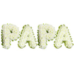 A tender, dignified sympathy tribute spelling the name PAPA in bold, uppercase letters, photographed against a clean, pure-white background. Each of the four characters is hand-built from dense clusters of small, creamy-white chrysanthemums - the petals ruffled and layered so the letters read as soft, slightly domed cushions of bloom. Subtle threads of pale green foliage and stems peek through at the joins and contours, adding gentle depth and a natural shadow that keeps the lettering readable from a short distance. Around every letter a narrow, wavy edge of lime-green ribbon or pleated foliage frames the white blooms, the fresh green acting as a calm, crisp border that defines the form with restraint rather than flourish.

The overall effect is quiet and respectful: the white chrysanthemums give an impression of purity and peace while their texture suggests comfort under the fingertips. Soft, even studio light washes the surface, highlighting the tiny petal details and leaving no harsh shadows, so the arrangement reads as an intimate, hand-crafted memorial piece. As a Brent Cross area florist might explain to a client preparing for a service at a local chapel near Brent Cross Shopping Centre or a graveside at a nearby cemetery, this style of lettering is chosen for its personal tone - the informal, affectionate name PAPA conveys family closeness while the white-and-green palette stays traditionally appropriate for bereavement. The piece communicates love, quiet remembrance, and the careful skill of a florist shaping many small blooms into a single, comforting message of farewell.